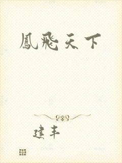 凤飞天下