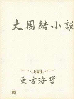 大团结小说下载