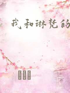 我和琳梵的故事