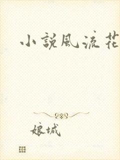 小说风流花少