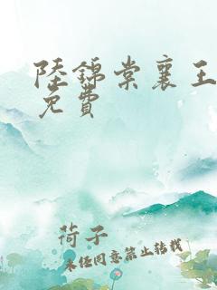 陆锦棠襄王全文免费