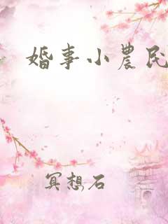 婚事小农民