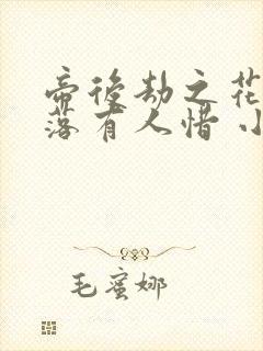 帝后劫之花开花落有人惜 小说