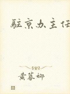 驻京办主任对手