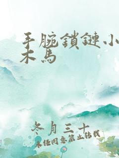 手腕锁链小黑屋木马