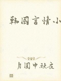 韩国言情小说