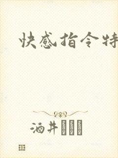 快感指令特别篇