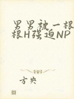 男男被一根又一根H强迫NP
