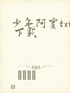 少年阿宾txt 下载