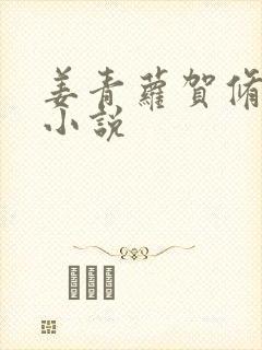 姜青萝贺修竹的小说