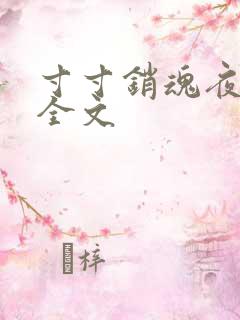 寸寸销魂夜春光全文