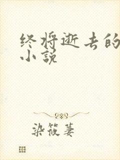 终将逝去的青春小说