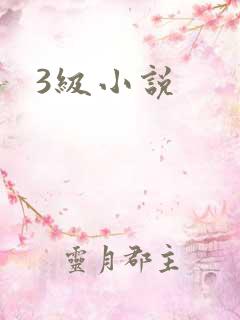 3级小说