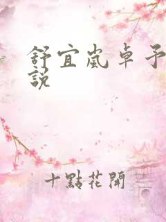 舒宜岚卓予淮小说