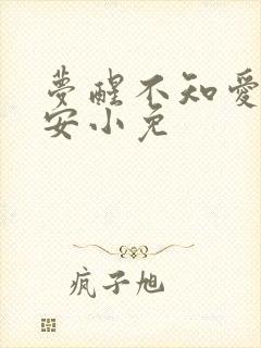 梦醒不知爱欢凉安小免