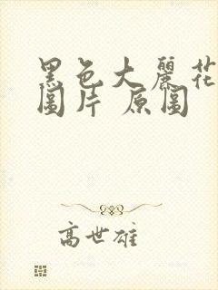 黑色大丽花真实图片 原图