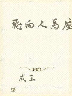 飞向人马座