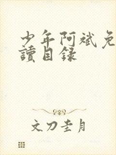 少年阿斌免费阅读目录