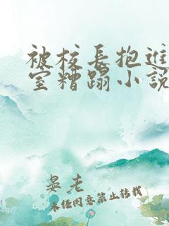 被校长抱进办公室糟蹋小说