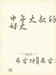 中年大叔的包包好大