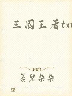 三国王者txt