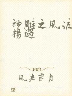 神雕之风流浪子杨过