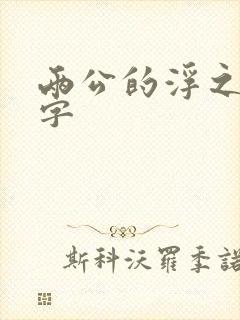 两公的浮之手中字