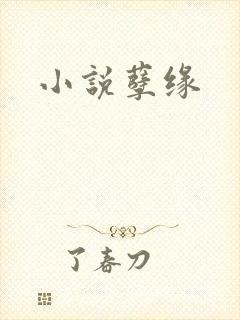 小说孽缘