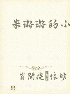 米璐璐的小说
