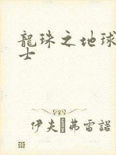 龙珠之地球人战士