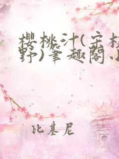 樱桃汁(宋枝江野)笔趣阁小说