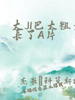 大JI巴太粗太长了A片