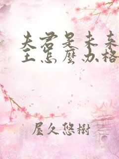 夫君是未来大魔王怎么办格格党