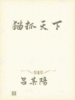 猫抓天下