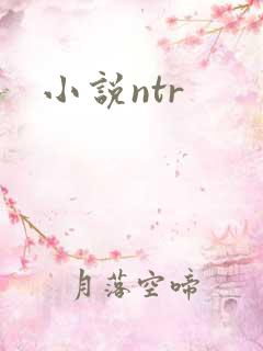 小说ntr
