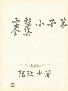 电击小子第二部全集