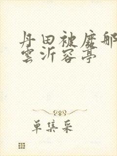 丹田被废那些年云沂容亭