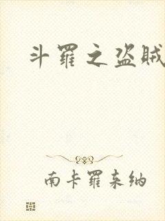 斗罗之盗贼