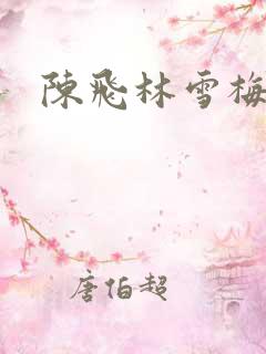 陈飞林雪梅