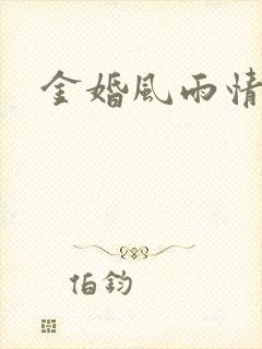 金婚风雨情下载