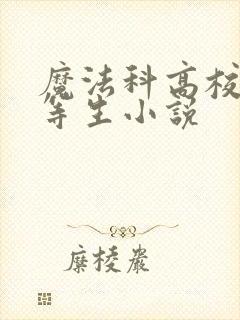 魔法科高校的劣等生小说
