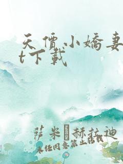 天价小娇妻txt下载