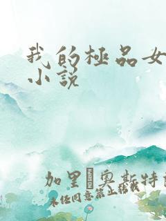 我的极品女老师小说