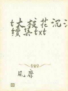 t大校花沉浮录续集txt