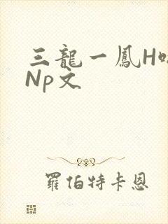 三龙一凤H啪肉Np文