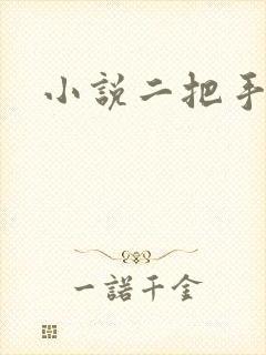 小说二把手