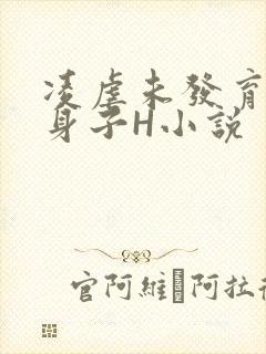 凌虐未发育的小身子H小说