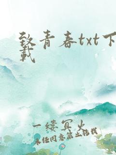 致青春txt下载