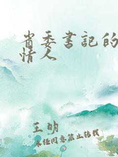 省委书记的秘密情人