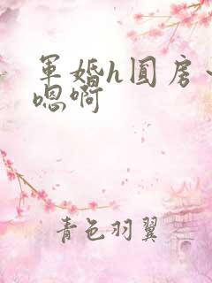 军婚h圆房～h嗯啊